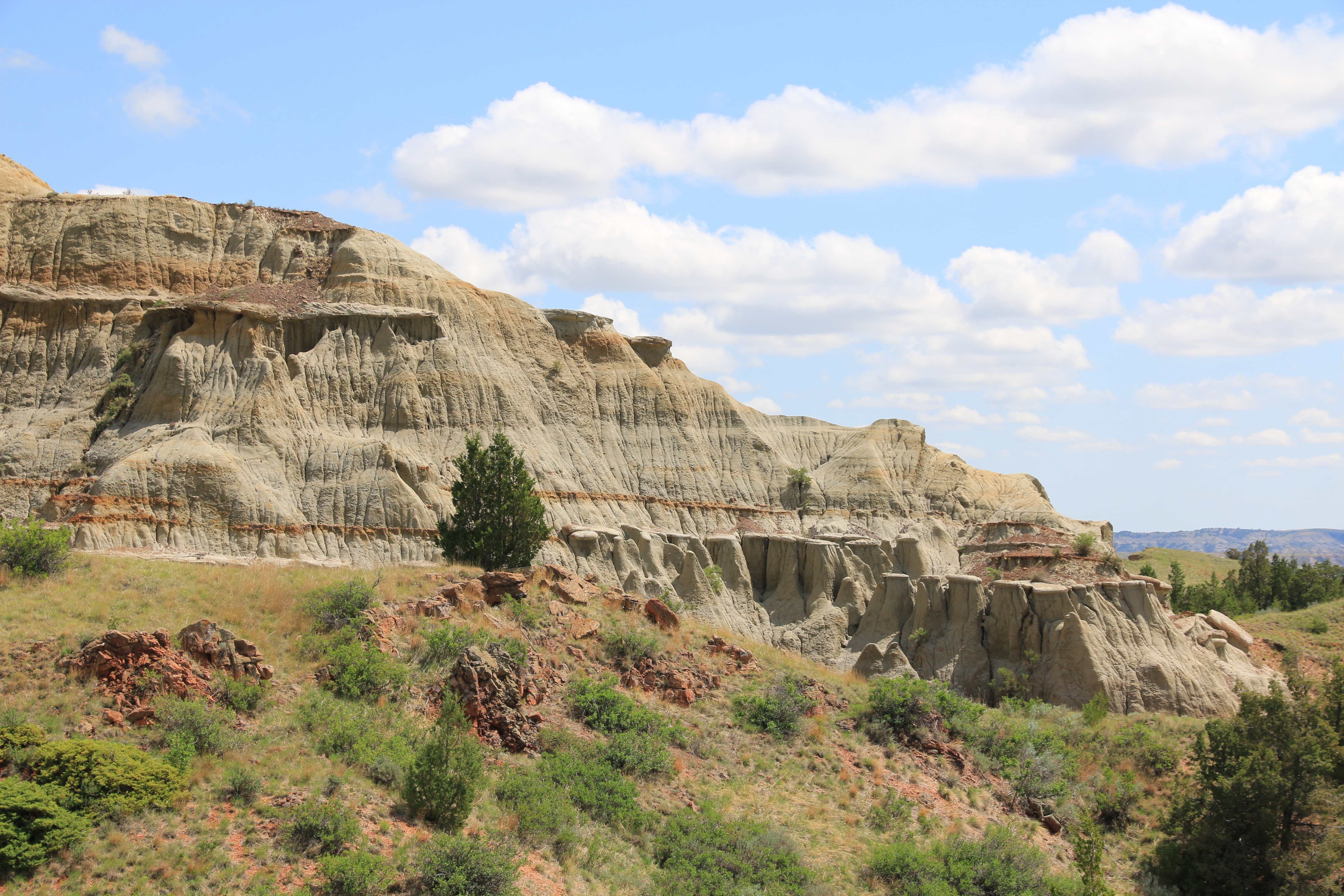 Theodore Roosevelt NP